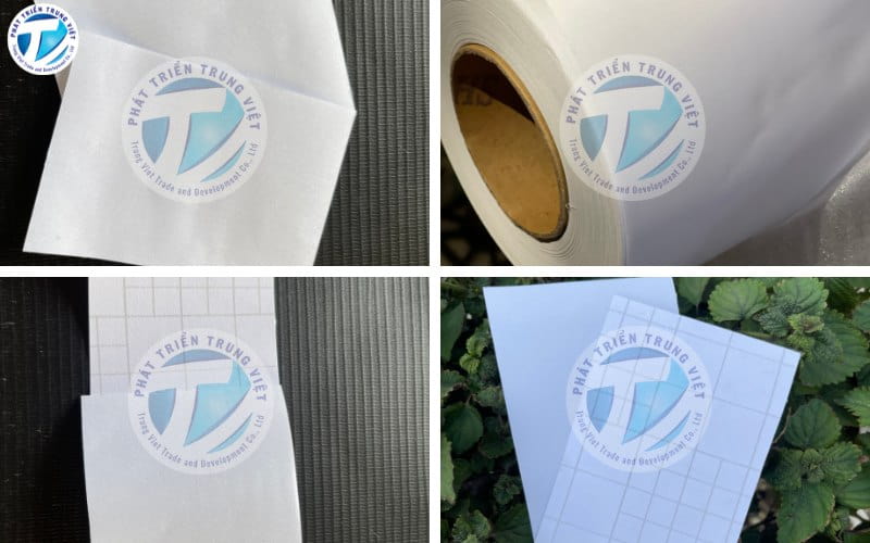 Sản phẩm decal kính